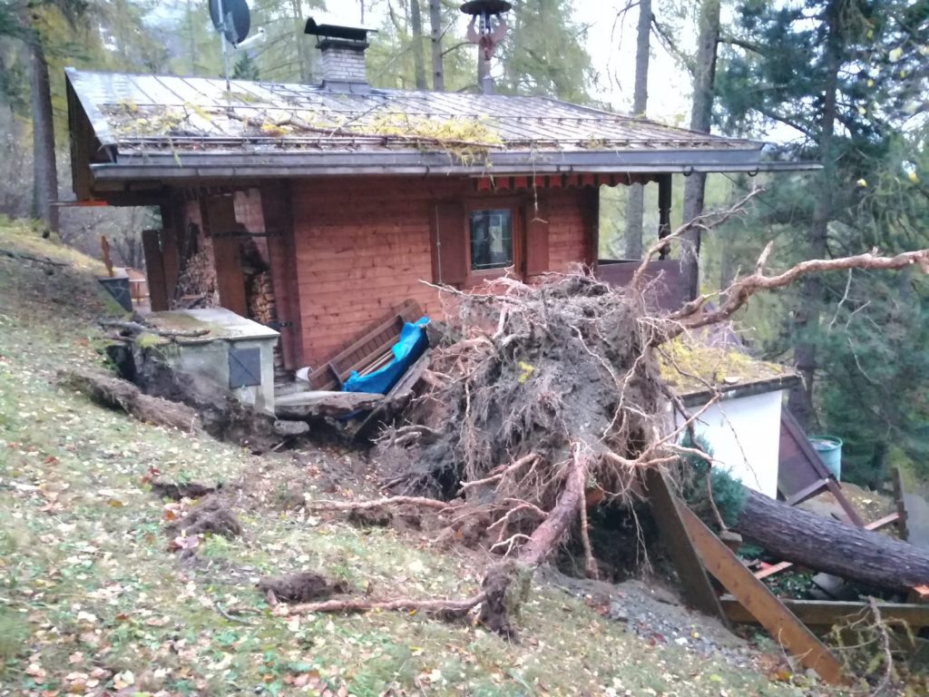 Sturmschäden Hinterloch