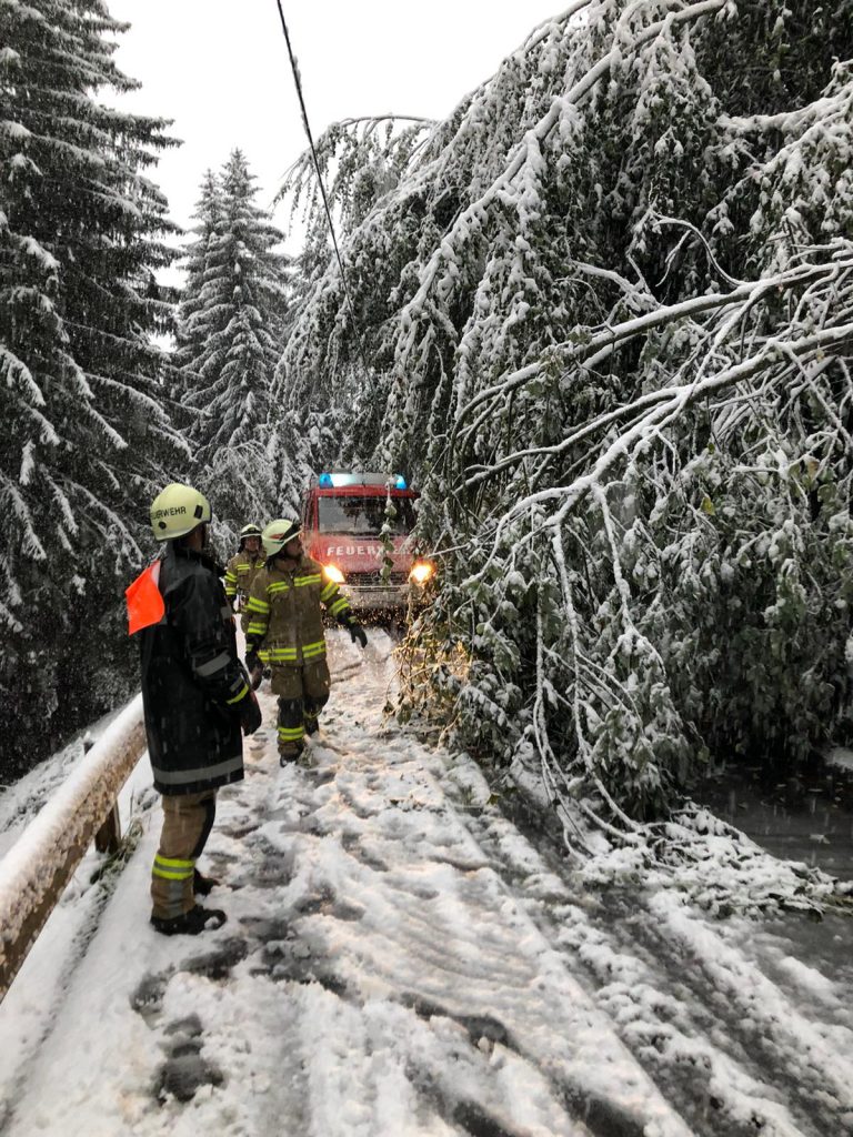 Schneeschäden Hinterloch